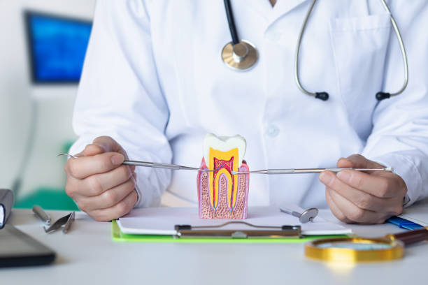 Best Emergency Dentist for Knocked-Out Tooth in Forestde, AL